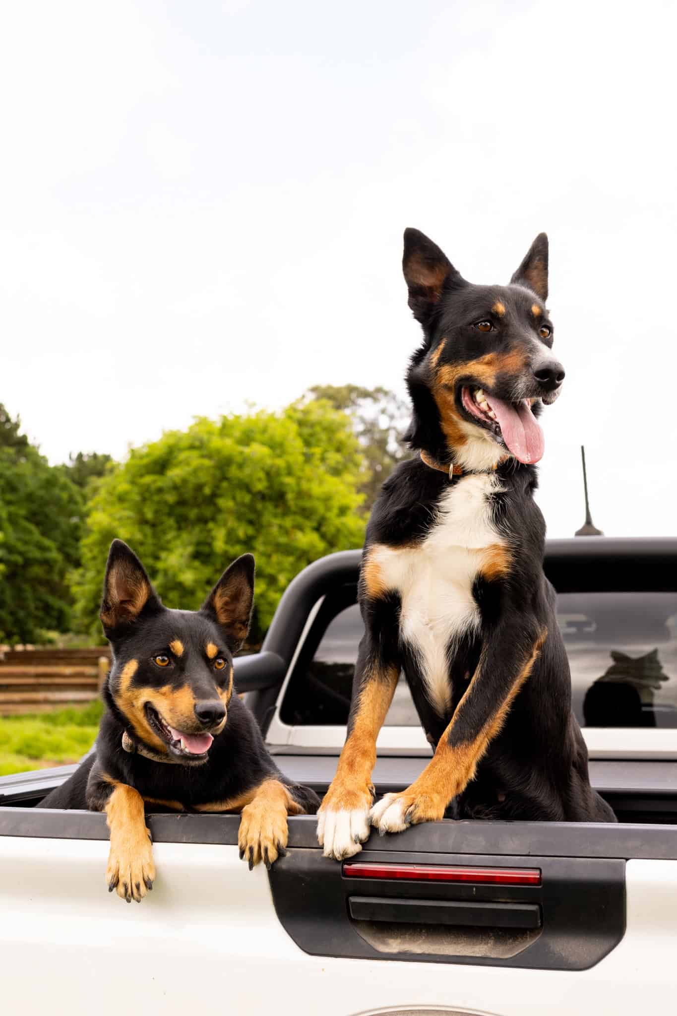 Stop the Tarago Waste Incinerator Long Water Agricultural Association