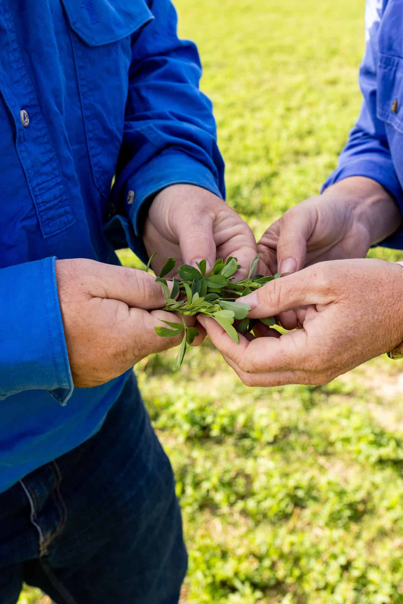 Stop the Tarago Waste Incinerator Long Water Agricultural Association